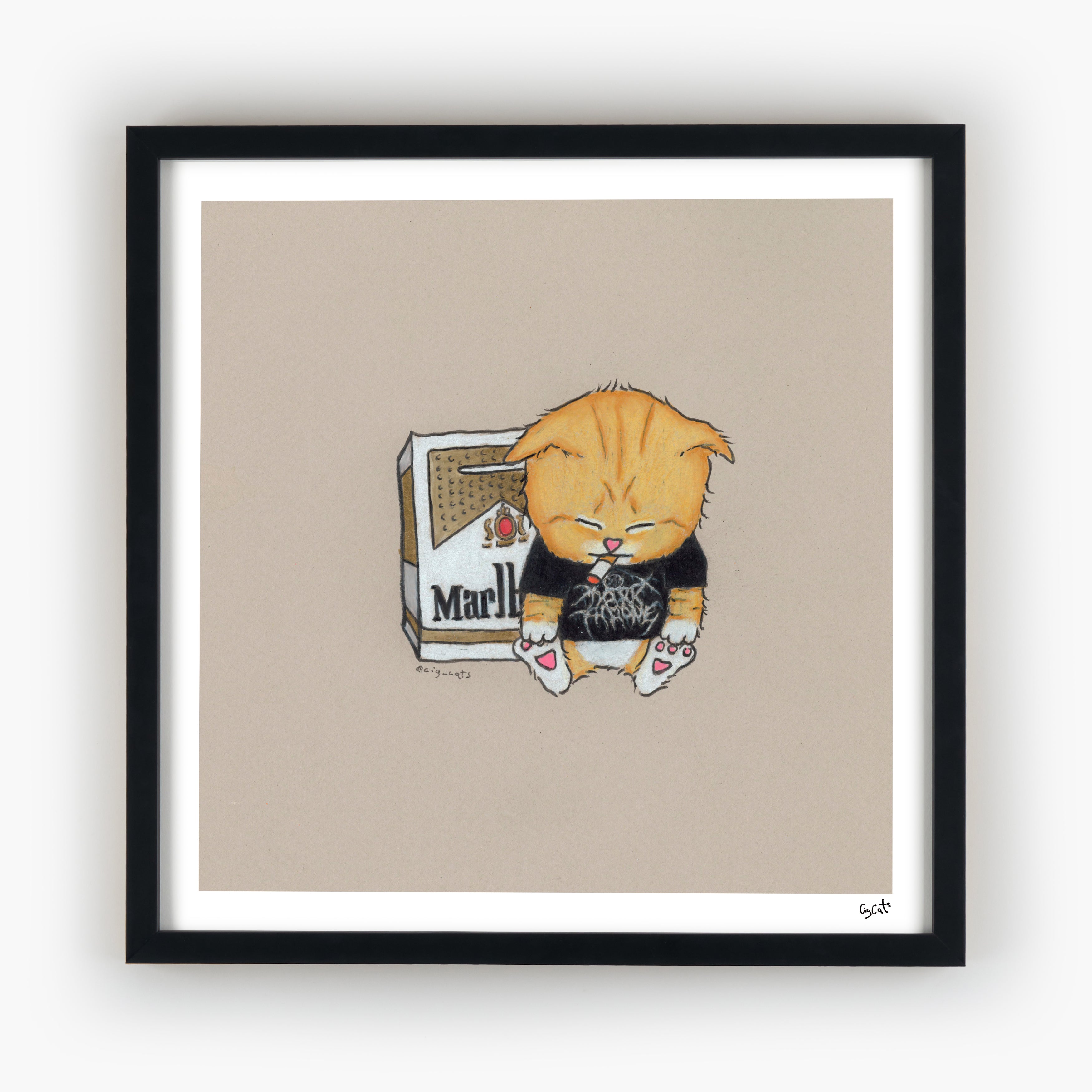 Popcorn